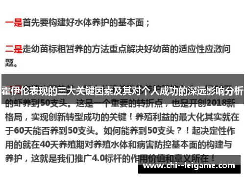 霍伊伦表现的三大关键因素及其对个人成功的深远影响分析