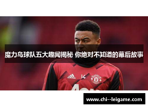 魔力鸟球队五大趣闻揭秘 你绝对不知道的幕后故事 魔力鸟球队五大趣闻揭秘 你绝对不知道的幕后故事